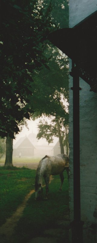 scan_0