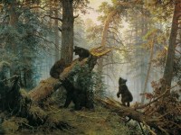 1920px-utro_v_sosnovom_lesu