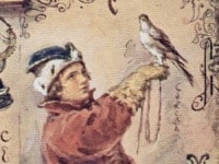 18.Bem-Falconer