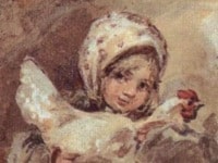 Hen-cockerel