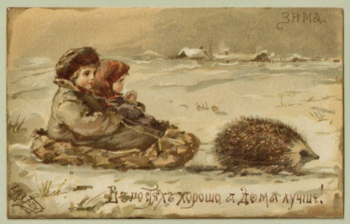 Bem-Hedgehog-sledge