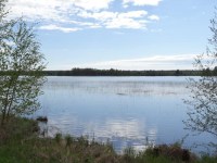 dsc00391