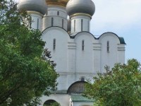 p1000719