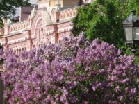 ostrovsky-square-4