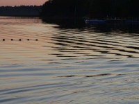 dsc01347