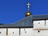 p1000124