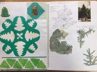 Fir