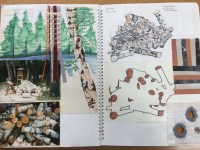 Birch