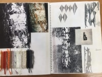 Birch